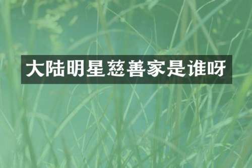 大陆明星慈善家是谁呀