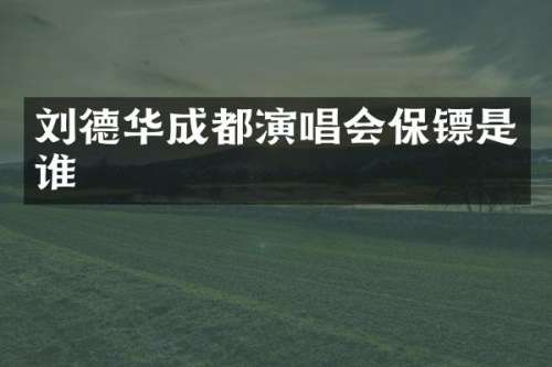 刘德华成都演唱会保镖是谁