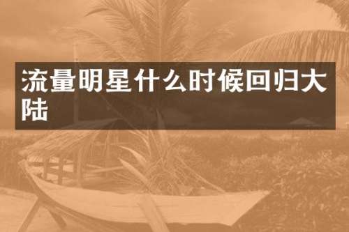 流量明星什么时候回归大陆