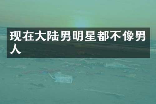 现在大陆男明星都不像男人