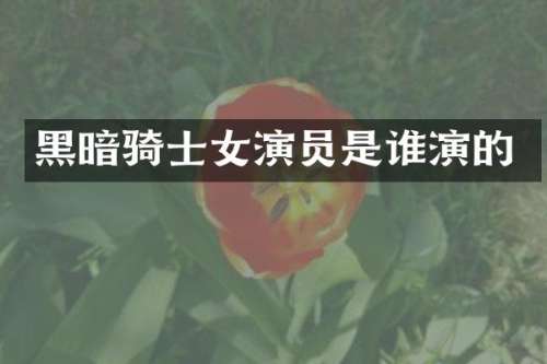 黑暗骑士女演员是谁演的