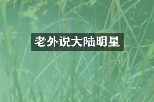 老外说大陆明星