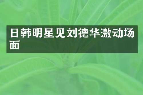 日韩明星见刘德华激动场面