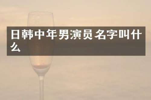 日韩中年男演员名字叫什么