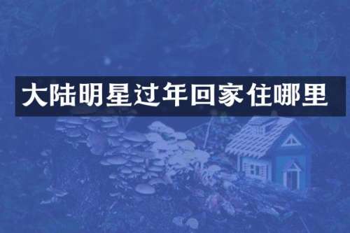 大陆明星过年回家住哪里