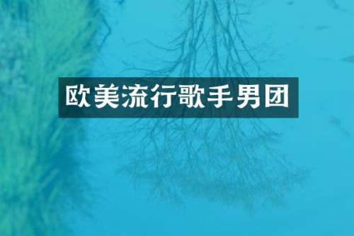 欧美流行歌手男团