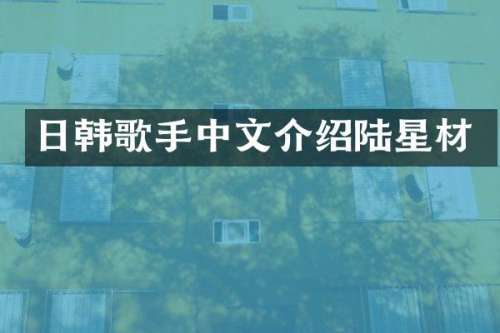 日韩歌手中文介绍陆星材