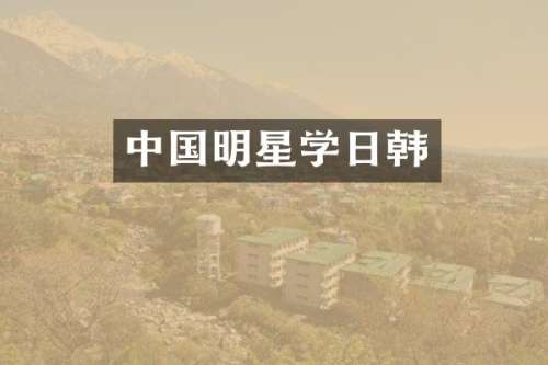 中国明星学日韩