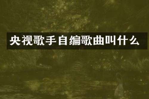 央视歌手自编歌曲叫什么