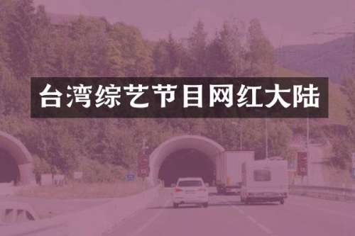台湾综艺节目网红大陆