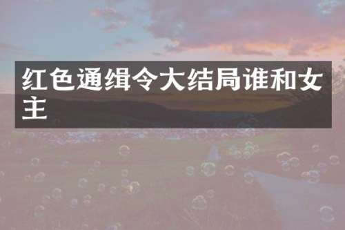 红色通缉令大结局谁和女主