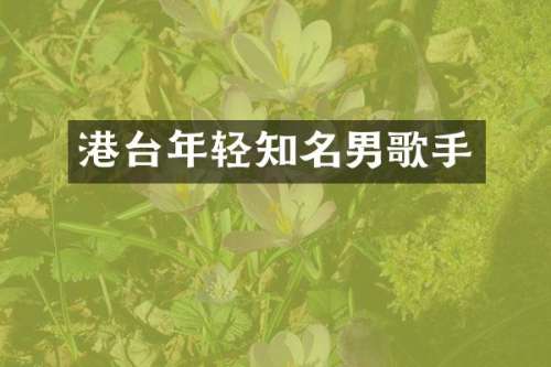 港台年轻知名男歌手