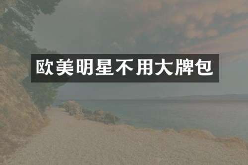 欧美明星不用大牌包
