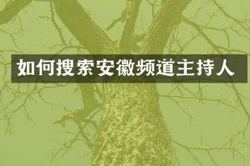 如何搜索安徽频道主持人