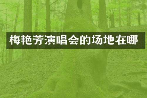 梅艳芳演唱会的场地在哪
