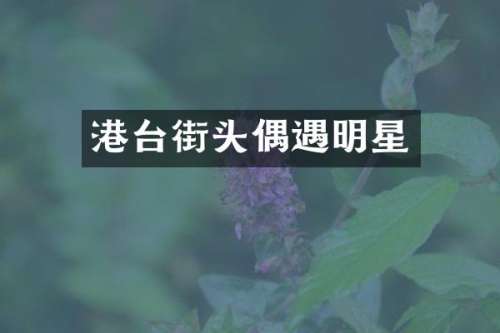港台街头偶遇明星