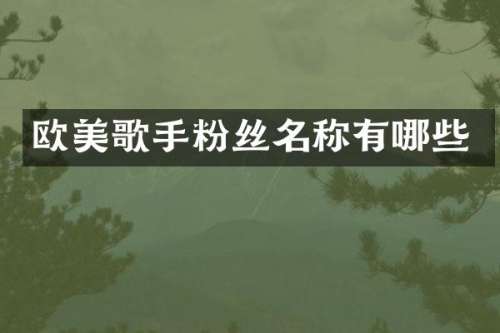 欧美歌手粉丝名称有哪些