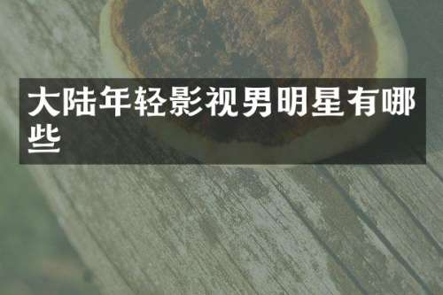 大陆年轻影视男明星有哪些