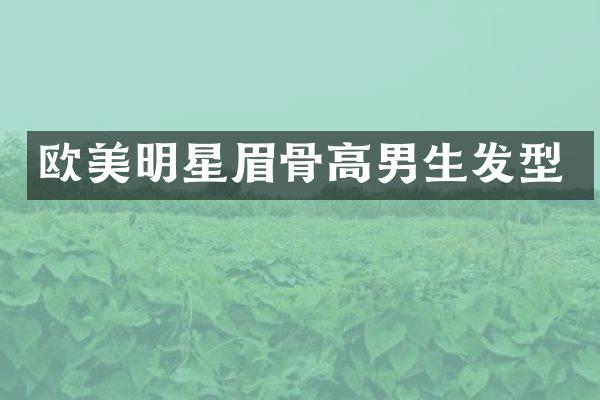 欧美明星眉骨高男生发型