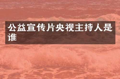 公益宣传片央视主持人是谁