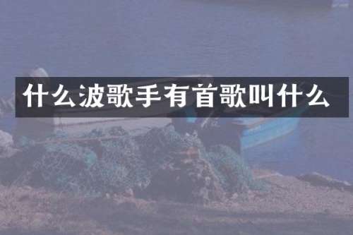 什么波歌手有首歌叫什么