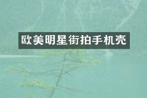 欧美明星街拍手机壳