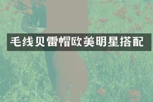 毛线贝雷帽欧美明星搭配