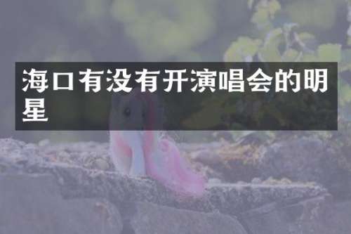 海口有没有开演唱会的明星
