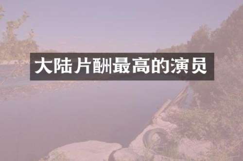 大陆片酬最高的演员