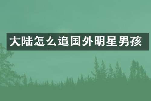 大陆怎么追国外明星男孩