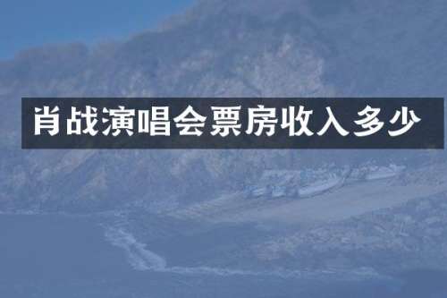 肖战演唱会票房收入多少