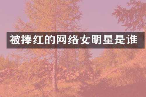 被捧红的网络女明星是谁