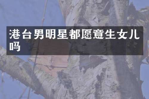 港台男明星都愿意生女儿吗