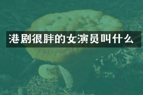 港剧很胖的女演员叫什么
