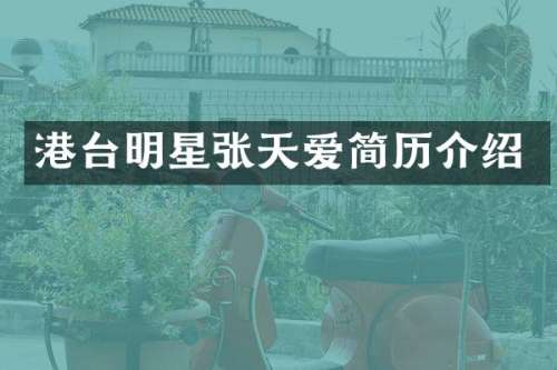 港台明星张天爱简历介绍