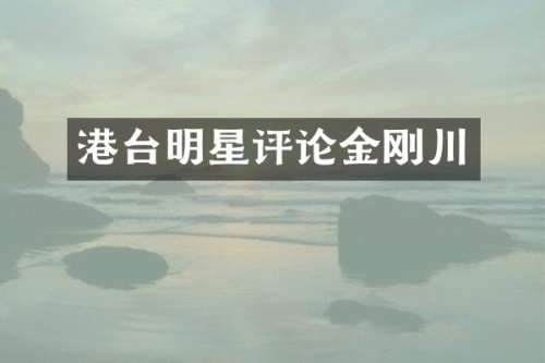 港台明星评论金刚川