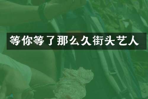 等你等了那么久街头艺人