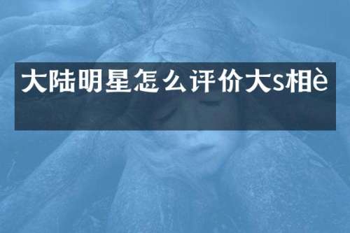 大陆明星怎么评价大s相貌