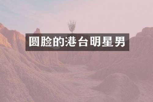 圆脸的港台明星男