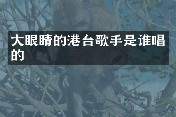 大眼睛的港台歌手是谁唱的
