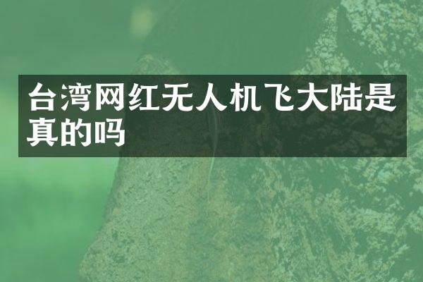 台湾网红无人机飞大陆是真的吗