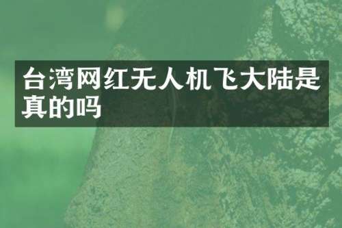 台湾网红无人机飞大陆是真的吗