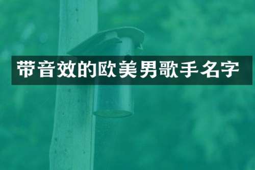 带音效的欧美男歌手名字