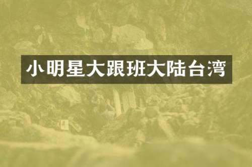 小明星大跟班大陆台湾