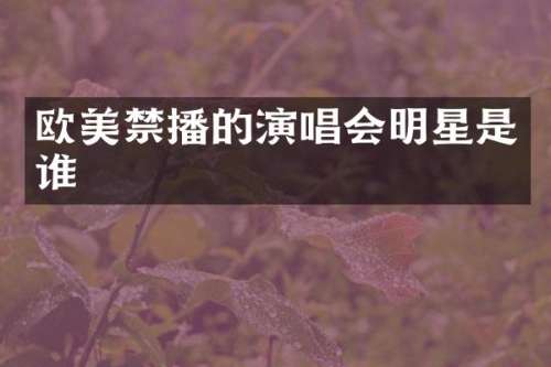 欧美的演唱会明星是谁