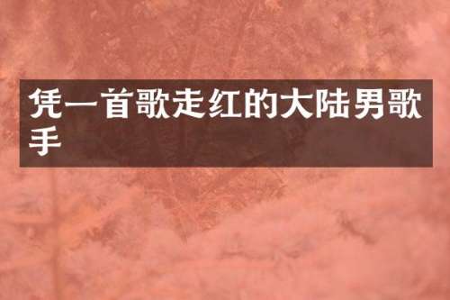 凭一首歌走红的大陆男歌手