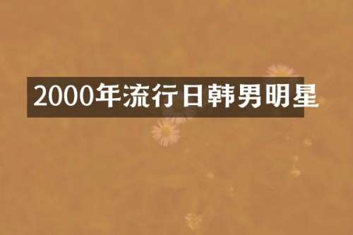 2000年流行日韩男明星