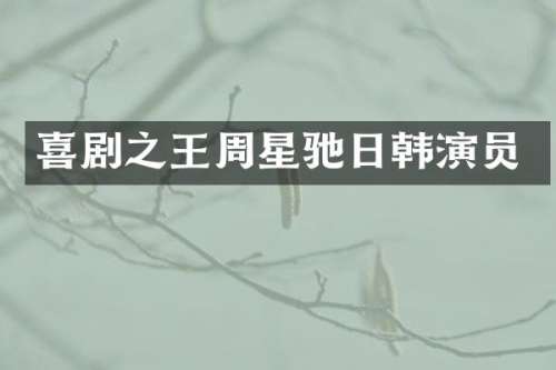 喜剧之王周星驰日韩演员