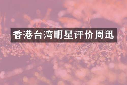 香港台湾明星评价周迅