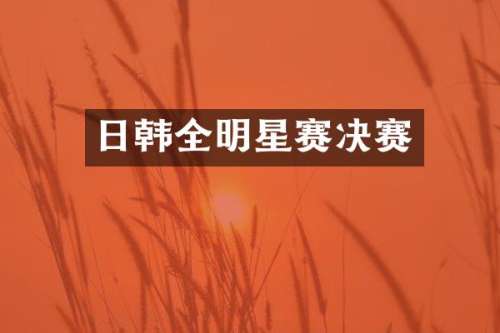 日韩全明星赛决赛